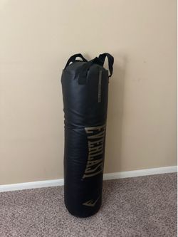 100 lbs. punching bag Everlast