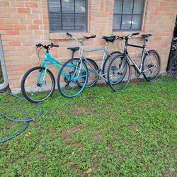 Giant Miyata  bikes
