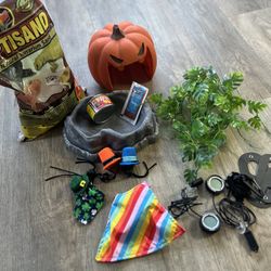 Bearded Dragon Accessories 