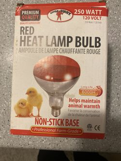 Heat Lamp Bulb