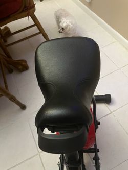 Rodeo Core Exerciser