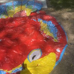 Huge, Parakeet, Family Floating