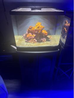 Coralife BioCube 29 Gallon Saltwater Aquarium w/ Stand