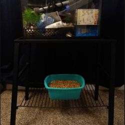 Fish Tank and Accessories
