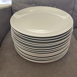 12” Dinner Plates