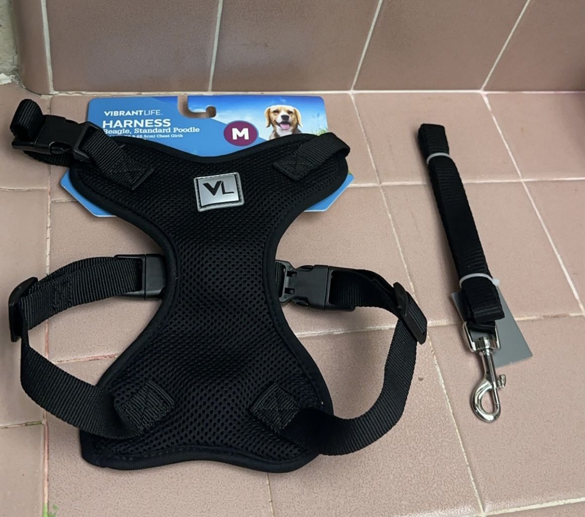 Dog Harness With leash
