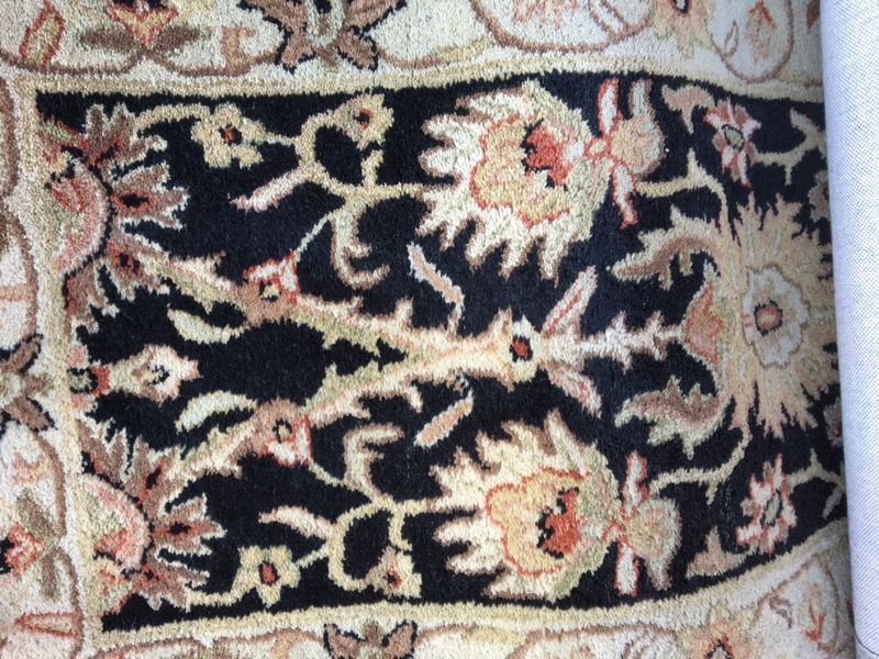 Safeviah Area Rug