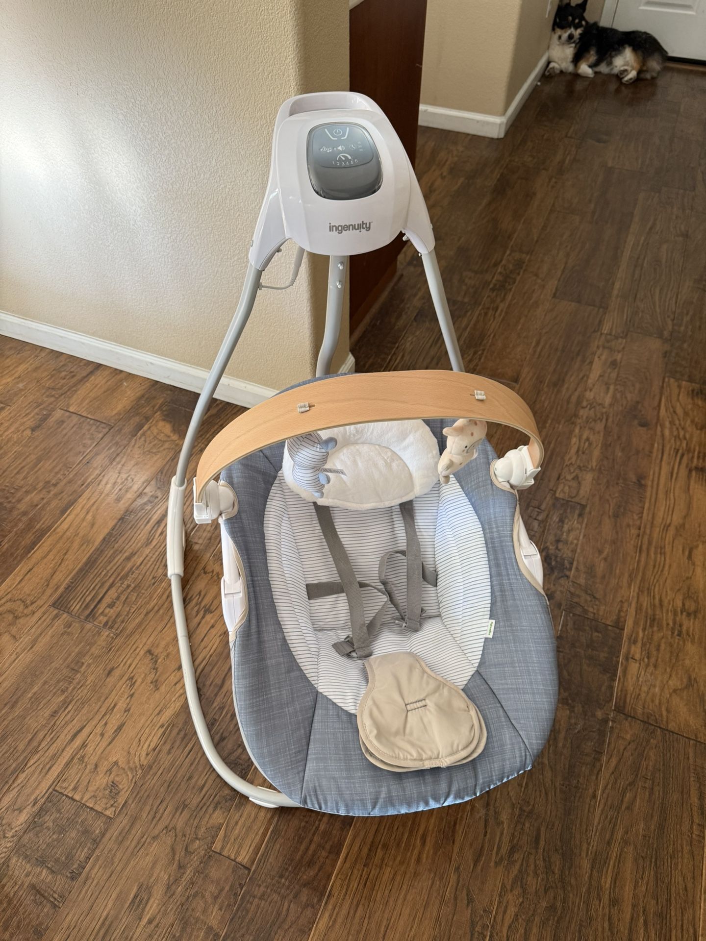 Baby Swing