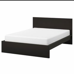 IKEA Malm Bed Frame Dark Brown