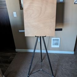 Professional Easel