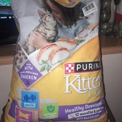 Purina Kitten Chow Healthy Development 14 Lb