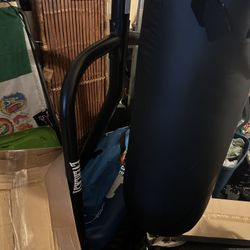 Century Heavy Bag and Everlast Stand