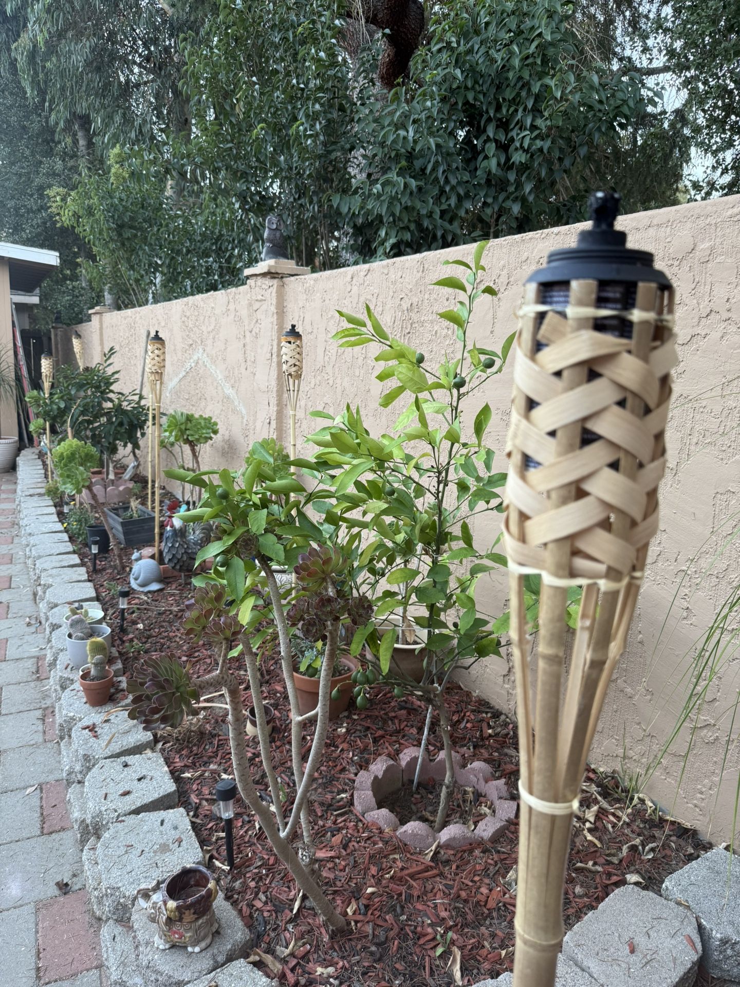 6 Tiki Bamboo Torch with Fuel