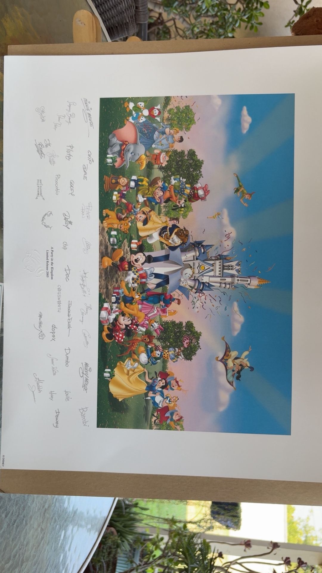 A Party In The Kingdom