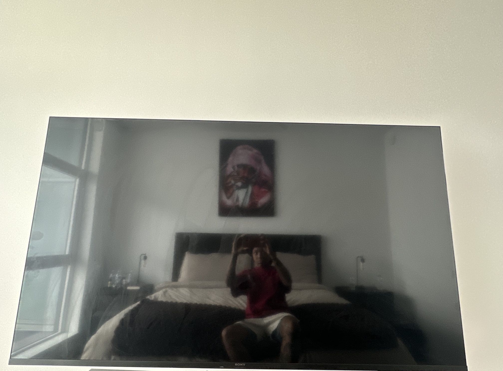 65 Inch Sony w/ Mount