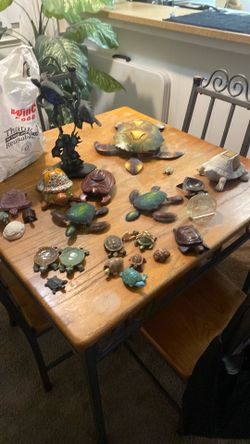 Collectible Turtles