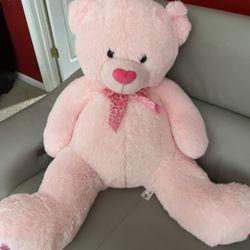 Big Teddy Bear