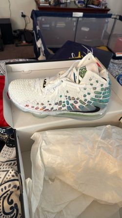 LeBron XVII