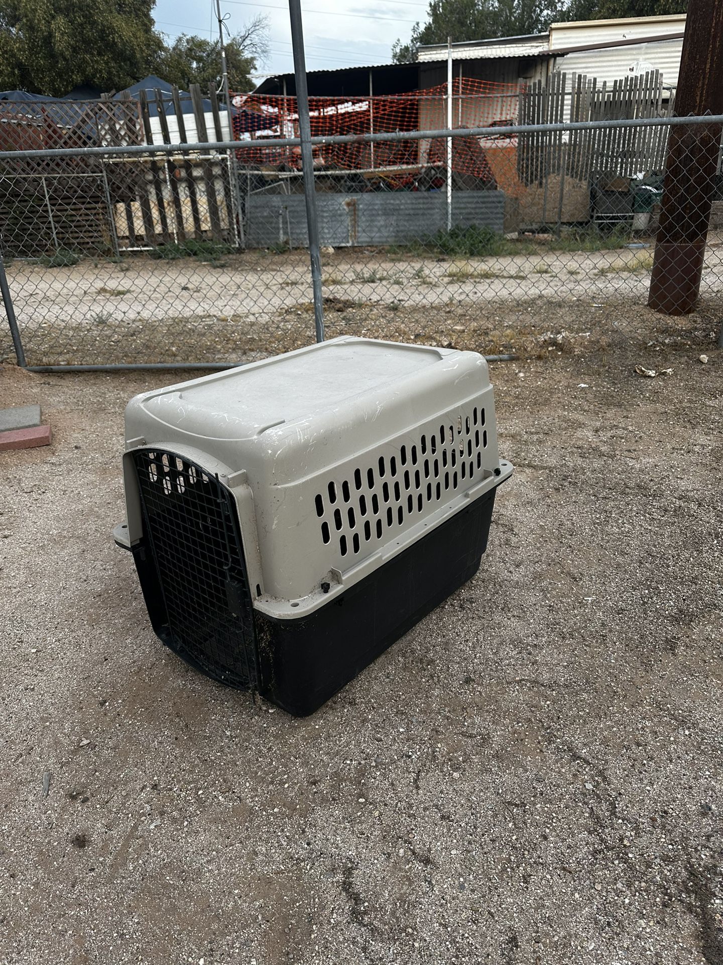 Travel Dog