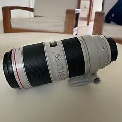 Canon R5 with Canon 70-200mm 2.8 Iii