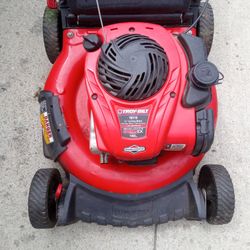 Troybuilt (Automatic Start)