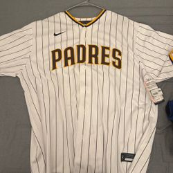 Fernando Tatis Repica auto Jersey