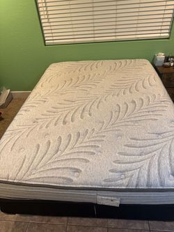 Queen Sealy Mattress/Box Spring/Frame