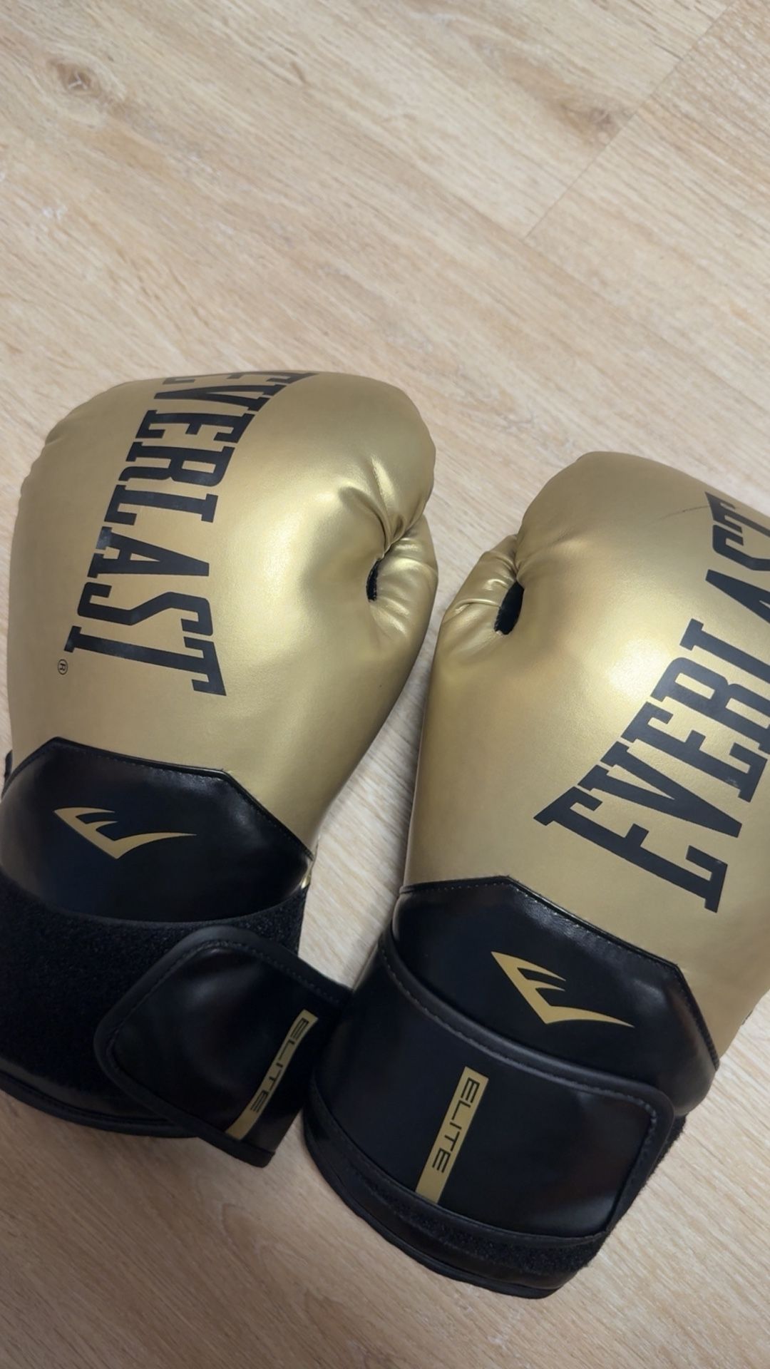 Everlast Boxing Gloves
