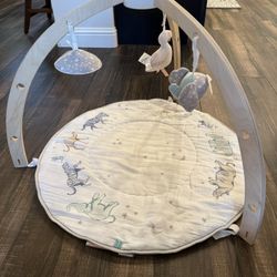 Aiden + Anais Activity center 