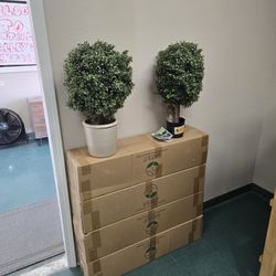 Artificial Plant For $30