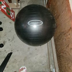Balance Form Exercise Ball