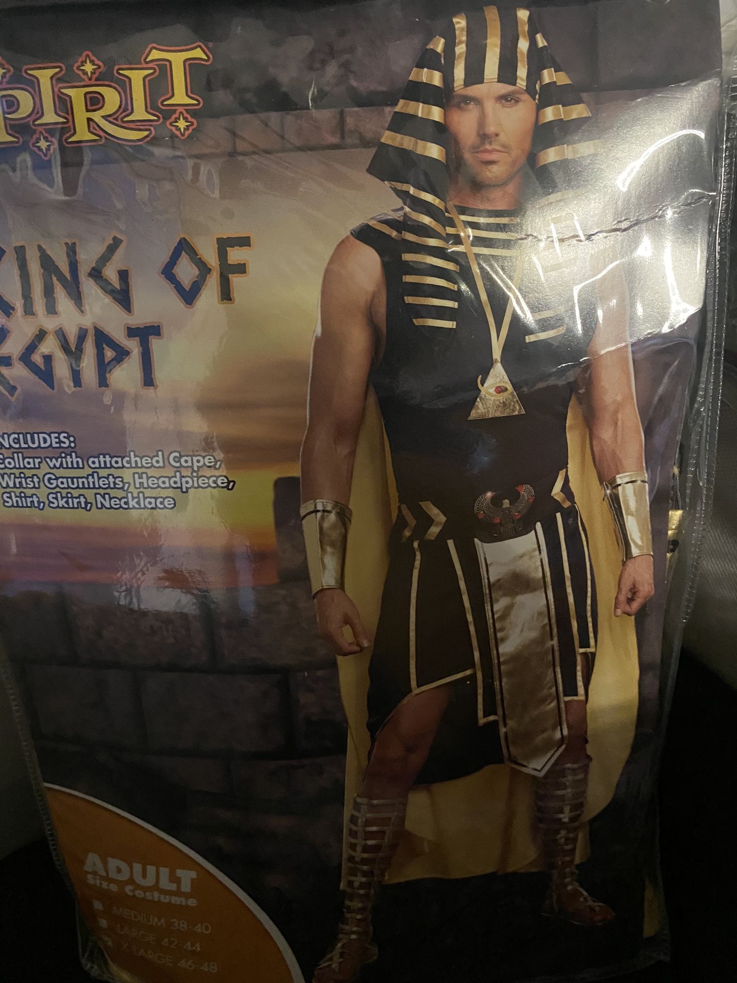 Halloween Costume 