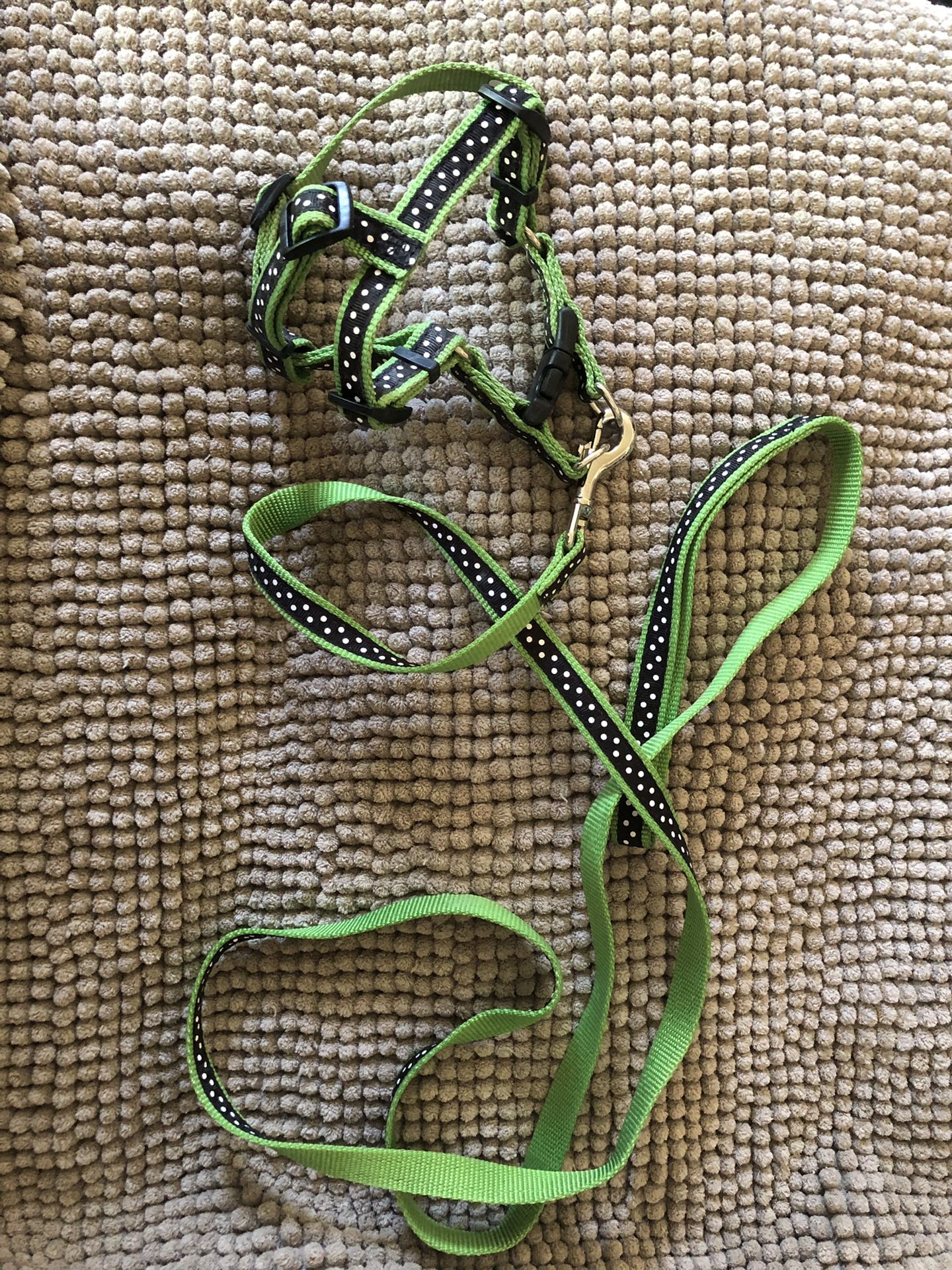 Cool gently used small harness and 6’ matching leash