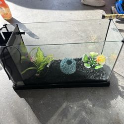 Fish Tank By Fluval 5 Gallon Tank