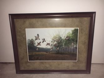 Baldwin bird photo