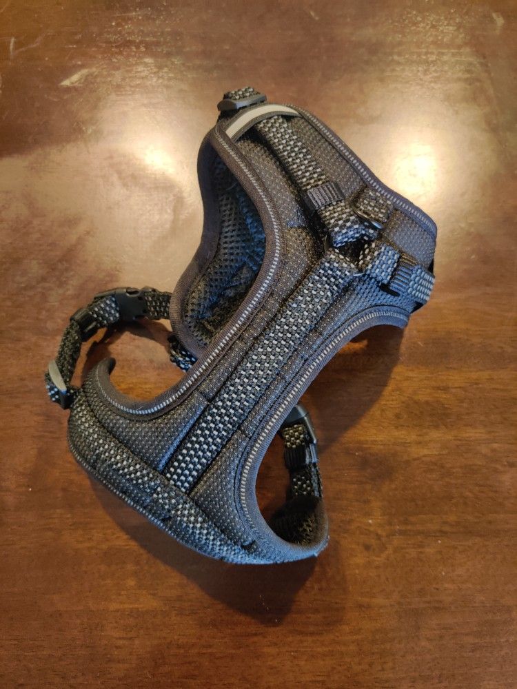Harness for Small Dog