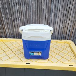 Igloo 12 Quart Cooler 