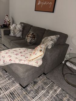 Couch / Sofa