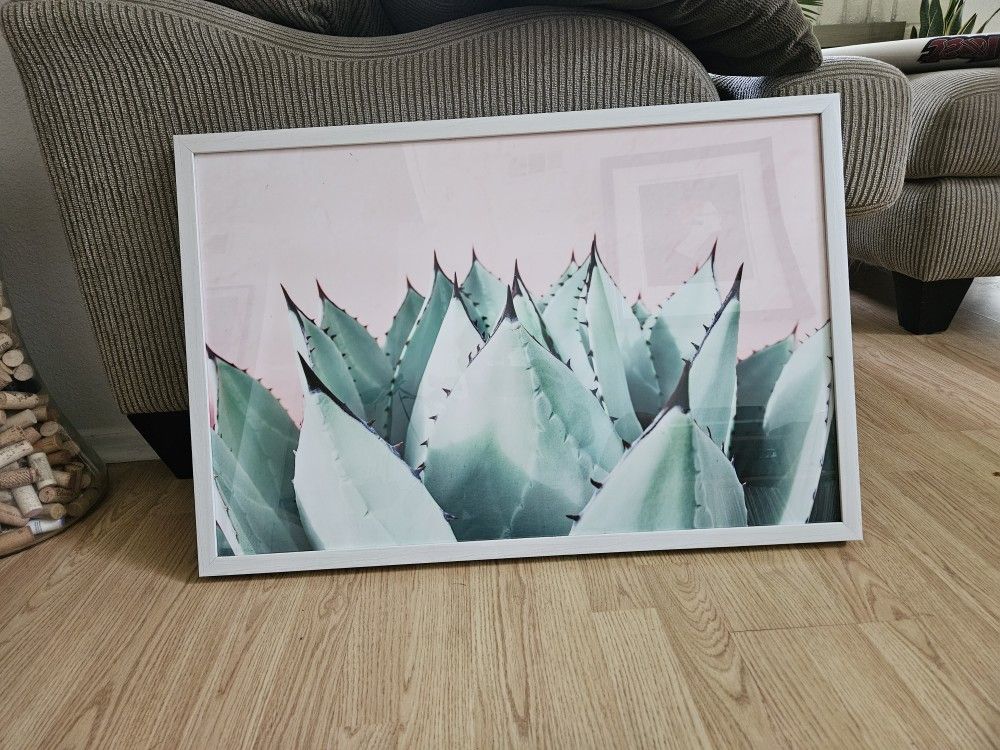 Agave Framed Picture