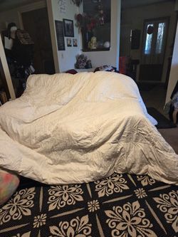 Queen size duvet  white with goose feathers