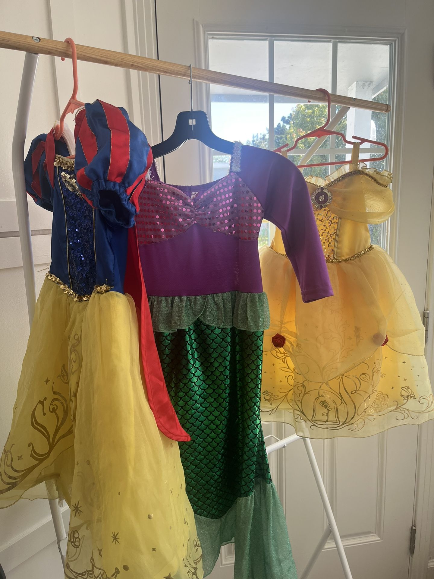 Princess Dress/costume