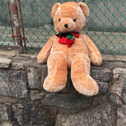 Plush Teddy Bear (large) 