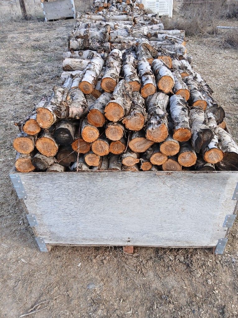 Seasoned Apple Wood 16inches.