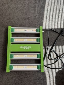 LED Grow Light