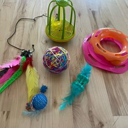 Cat Toys