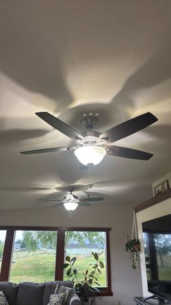 48” Hampton Bay Hunter Ceiling Fans