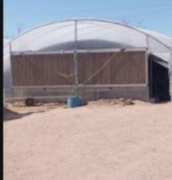 60 Industrial Sized Greenhouses For Sale