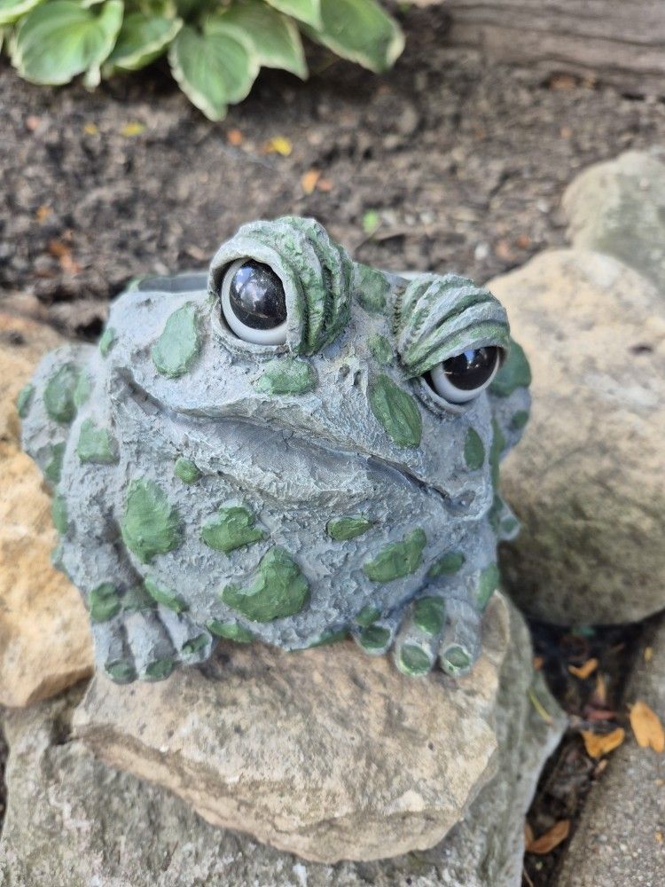 Frog Planter H  5", W 7" x 6", Solid Resin