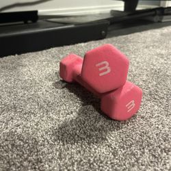 3Lb Weights 