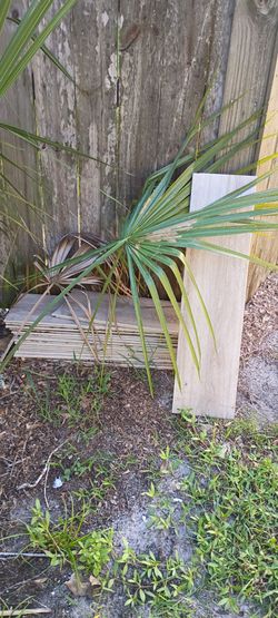 Wood look tile planks
